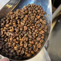 فروش عمده دان قهوه رست شده زیر قیمت بازار