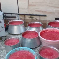 آبگیری گوجه سیاردرب منزل شما|خدمات پیشه و مهارت|بروجرد, |دیوار
