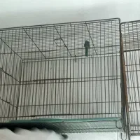 دوعدد قفس پرنده