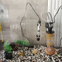 آکواریوم ۶۰لیتر با تمام لوازم نو برای همه نوع ماهی|ماهی|قزوین, |دیوار