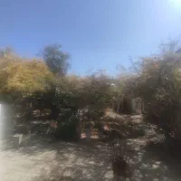 باغ خونه درخیابان مدنی