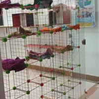 فروش مغازه