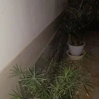 شیشه ده میل آکواریوم