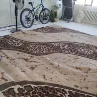 گلیم فرش 9متری