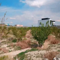 زمین شهرکی روبه رشد شهریار *فوری