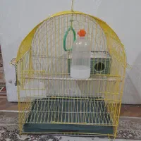 قفس