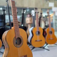 گیتار پارسی در همه مدل|گیتار، بیس، امپلیفایر|مشهد, الهیه|دیوار