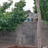 باغ فروشی