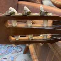 گیتار c40|گیتار، بیس، امپلیفایر|گرگان, |دیوار