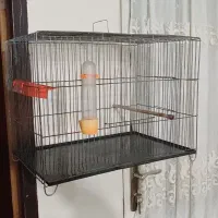 قفس پرنده