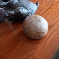 مجسمه فایبر گلاس|مجسمه، تندیس، ماکت|قائمشهر, |دیوار