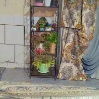 ویترین فرفوژه