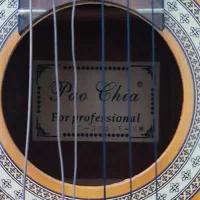 گیتار پائوچیا|گیتار، بیس، امپلیفایر|گرگان, |دیوار