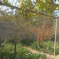 باغ ویلای ۵۰۰ متری در رامجین|فروش زمین و ملک کلنگی|رامجین, |دیوار