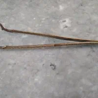 انبر برنزی