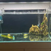 اکواریوم ریملس ۱۰ میل فروش فوری