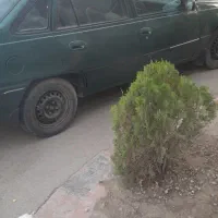دوو سیلو ۸۱|خودرو سواری و وانت|ماهدشت, |دیوار