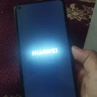 y 7 p