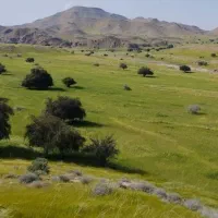 زمین کشاورزی|فروش زمین و ملک کلنگی|مسجد سلیمان, |دیوار