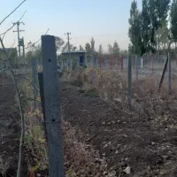 فروش باغ در جاده  توریستی دستاران|فروش دفتر صنعتی، کشاورزی، تجاری|خرمدره, |دیوار