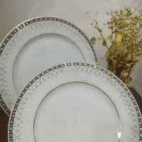 بشقاب پلو خوری و پیش دستی چینی|ظروف سرو و پذیرایی|رباط‌کریم, رباط‌کریم|دیوار