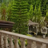 خط تلفن روند