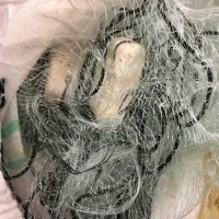 تور سال اسبی