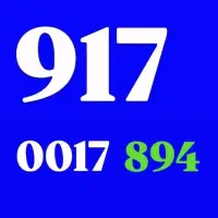 0917-0017-834