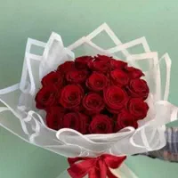 پخش عمده گل رز هلندی زیر قیمت بازار|گل و گیاه طبیعی|مشهد, هنرستان|دیوار
