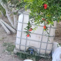 تانکر ۱۰۰۰ لیتری ۲عدد