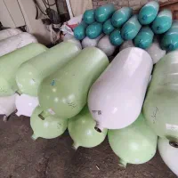نصب کپسول گاز CNG