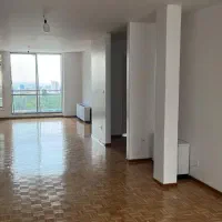۱۷۵ متر ویو پارک ساعی / فول بازسازی/ تمامی امکانات|اجارهٔ آپارتمان|تهران, گاندی|دیوار