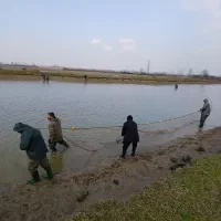 خرید و فروش ماهی کپور امور فیتوفاک و بیگهد|ماهی|رشت, بازار|دیوار