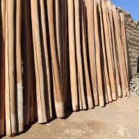 چوب سالم درجه یک|عمده‌فروشی|کارزان, |دیوار