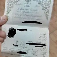 شناسنامه گم شده