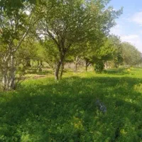 انجام کارهای تخصصی کشاورزی