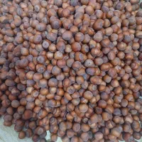 فندق|خوردنی و آشامیدنی|رشت, هلال احمر|دیوار