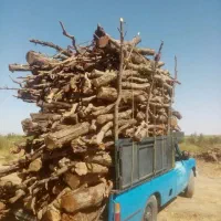 خرید و برش چوب