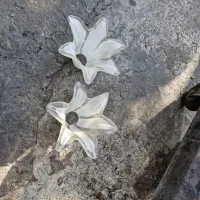 لاله لوستر سالم