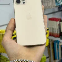 12 pro max