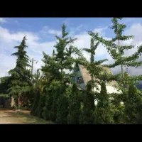 ویلایی گلنگی 175 متری سند دار در سلیمانداراب رشت