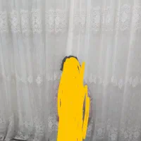 پرده پذیرایی