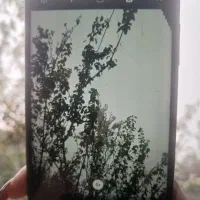 گوشی سامسونگ m13|موبایل|فومن, |دیوار