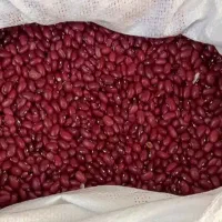 لوبیا قرمز درجه یک