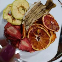 میوه خشک کن ،  نو ، کف قیمت بازار|سایر لوازم برقی|خمین, |دیوار