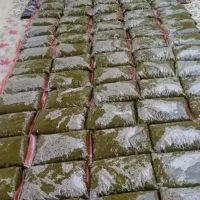 خورشتی جنوب|خوردنی و آشامیدنی|شاهین‌شهر, شهرک مطهری|دیوار