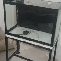 اکواریوم