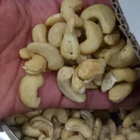 بادام هندی