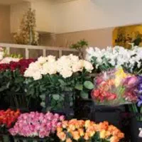 نیروی حرفه ای خانم . گل فروشی