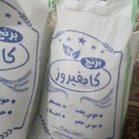برنج و نیم دانه کامفیروزی|خوردنی و آشامیدنی|شیراز, حافظیه|دیوار